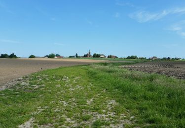 Tour Mountainbike Tournai - Thimougie - Photo