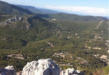 Trail Walking Toulon - Mémorial - Faron 584 m - Photo