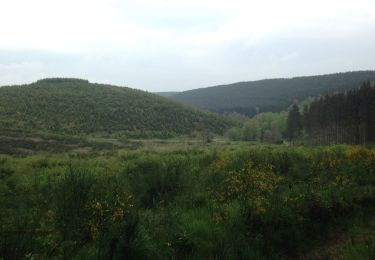 Tocht Stappen Martelange - autour trou des cochons - Photo