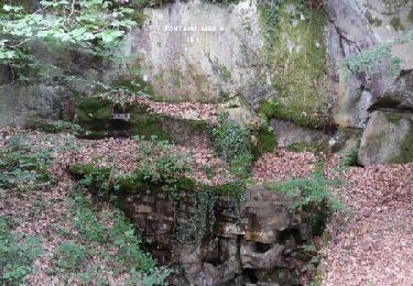 Excursión Senderismo Fontainebleau - cabaret  Masson circuit4 - Photo