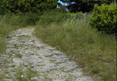 Trail Walking Sourcieux-les-Mines - Sourcieux les mines (le Jannot)  à Vaugneray - Photo