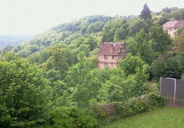 Tocht Stappen Neuwiller-lès-Saverne - Oberhof - La Petite Pierre - Photo