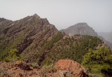 Tour Wandern Santa Cruz de la Palma - La Palma-Los Roques - Photo