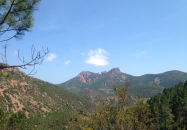 Trail Running Fréjus - Mont Vinaigre Agay - Photo