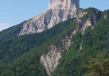 Randonnée Marche Saint-Martin-de-Clelles - Montée au Goutaroux - 07 juin 2015 - Photo