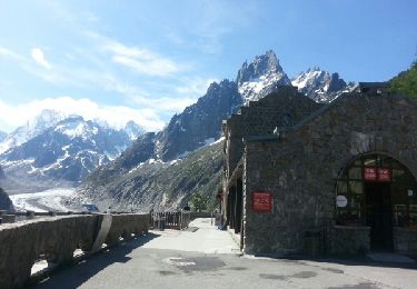 Trail Walking Chamonix-Mont-Blanc - Mer de glace - Photo