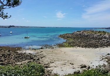 Excursión Senderismo Île-de-Batz - île de batz - Photo