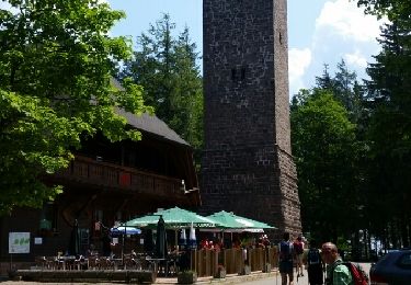 Tour Wandern Zell am Harmersbach - Branbenkopf  - Photo
