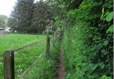 Trail Walking Villers-la-Ville - Sart-dames-avelines - Photo