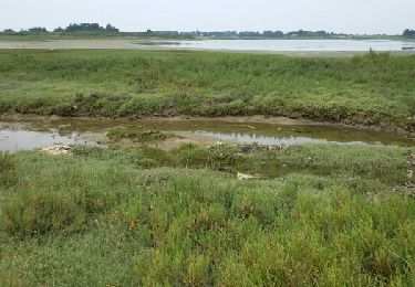 Percorso Marcia Île-d'Arz - Ile d'artz (Pointe de Nenezic-Pennaro) - Photo