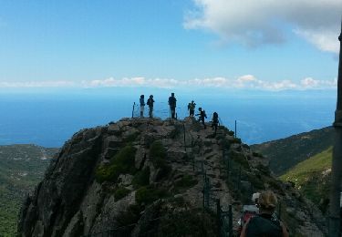Excursión Otra actividad Marciana - elbe montée mont capane - Photo
