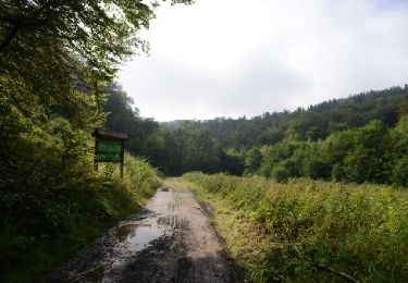 Randonnée Marche Virton - Buzenol - Circuit Natura 2000, des sites qui valent le détour - Lx17 - Photo
