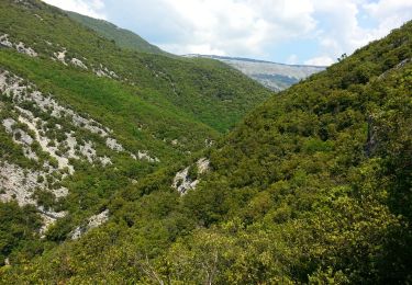 Randonnée Marche Saint-Vallier-de-Thiey - Saint-Vallier-de-Thiey - Arche du Ponadieu Grotte des Deux Goules Chapelle St-Jean - 9km 350m 4h20 - 2015 06 07 - Photo