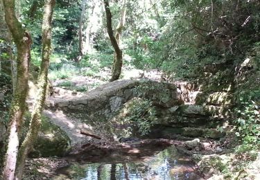 Tour Wandern Valbonne - Valbonne - La Brague et Le Bruguet - Photo