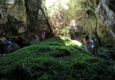 Tour Wandern Gémenos - de l'Espigoulier à Bertagne par les dents de roque forcade - Photo