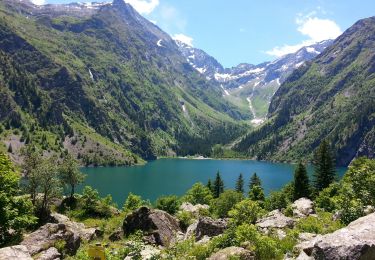 Randonnée Marche Les Deux Alpes - Les Deux Alpes - de La Danchère au Lac Lauvitel - 9.3km 590m 6h10 (1h10) - 2015 06 22 - Photo
