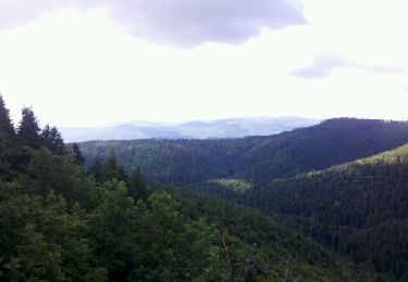 Trail Walking Oberhaslach - Obernai-150624 - CascadeNideck - Photo