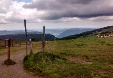 Trail Walking La Bresse - Printemps au Hohneck et au Kastelberg  - Photo