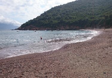 Percorso Marcia Osani - Plage de Caspiu Plage de Gradelle A et R - Photo