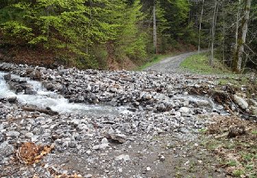 Trail Walking Les Clefs - Tour du mont Sulens - Photo