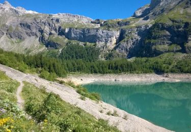 Randonnée Marche Ayent - Lac de Tseuzier - Col du Rawil 30.06.15 - Photo