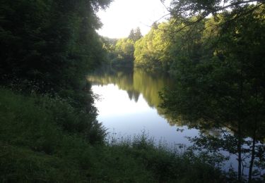 Tour Mountainbike Attert - nobressart-pont d'oy - Photo