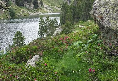 Percorso Marcia L'Hospitalet-près-l'Andorre - Etang de Besines - Photo