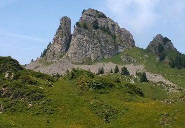 Excursión Senderismo Gündlischwand - Schynige Platte chemin panoramique 06.07.15 - Photo