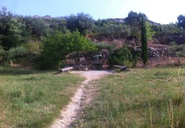 Excursión Otra actividad Mouriès - trace balade enfants. descente.  - Photo