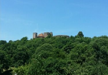 Randonnée Marche Lichtenberg - château lichtenberg - Photo