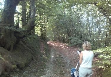 Trail Walking Lespinassière - Salette -Chiffre - Photo