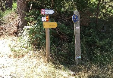 Trail Walking Peyre en Aubrac - aumont aubrac - gilbertes - Photo