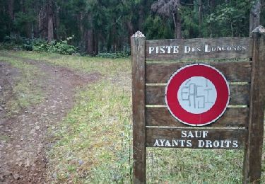 Trail Walking Les Avirons - La Réunion - Boucle au Tevelave par le Sentier Grande Terre - Photo