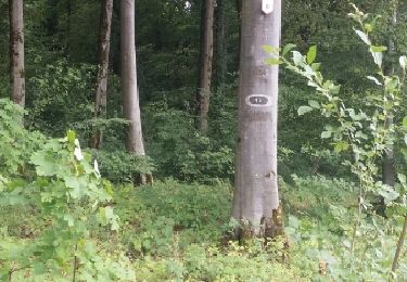 Randonnée Marche Ottange - ottange réserve naturelle - Photo