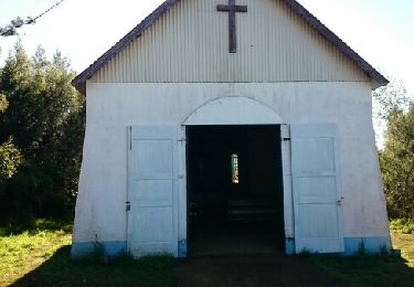 Randonnée Marche Entre-Deux - La Réunion - Le Dimitile (aller-retour) par le sentier de  la chapelle. - Photo