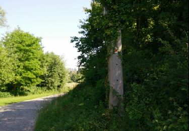 Trail Walking Beauvechain - Nodebais - Photo