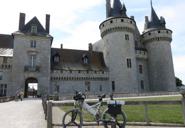 Percorso Bicicletta Beaulieu-sur-Loire - Loire à vélo de Beaulieu sur Loire à Beaugency - Photo