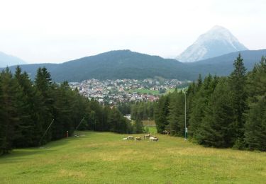 Trail Walking Gemeinde Seefeld in Tirol - Reitherjoch Alm - Photo