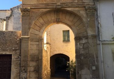 Tour Wandern Arles - promenade en Arles - Photo