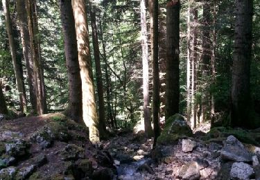 Trail Walking Lans-en-Vercors - Gorges du Bruyant  - Photo