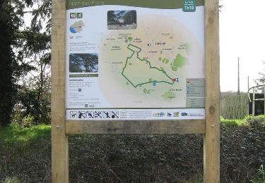 Trail Walking Nort-sur-Erdre - Circuit 