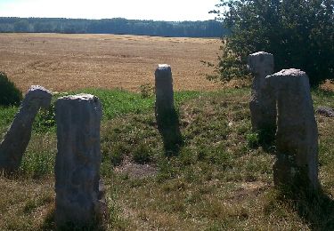 Trail Walking Boiry-Notre-Dame - Paille haute Les Bonnettes  - Photo