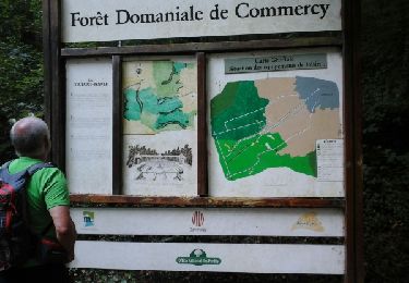 Trail Walking Commercy - commercy fontaine royale - Photo