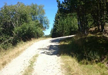 Trail Walking Eyne - Cambre D Aze - Photo