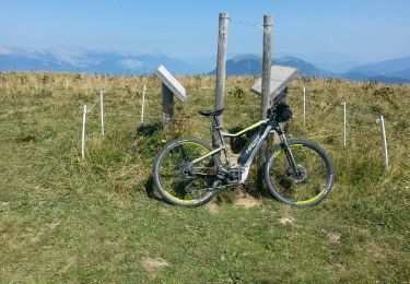 Trail Mountain bike La Motte-d'Aveillans - Les Signaraux-le Sénépy - Photo