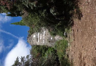 Tour Wandern Saint-Jean-de-la-Blaquière - Rochers des 2 Vierges - Photo
