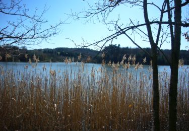 Tour Wandern Cheminas - Lac des Meinettes  Janv 2015 - Photo