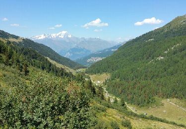 Percorso Marcia La Plagne-Tarentaise - Les Bauches - Photo