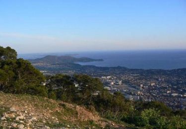 Trail Walking Toulon - Mont Faron - Toulon - Photo