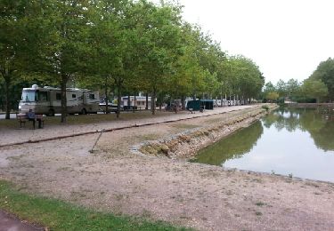 Randonnée V.T.T. Loreux - canal de la sauldres - Photo
